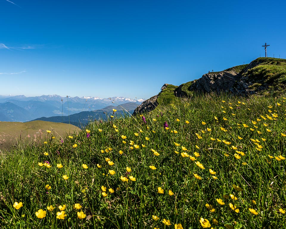 Natur Pur - Seceda Seilbahnen in Gröden - Südtirol