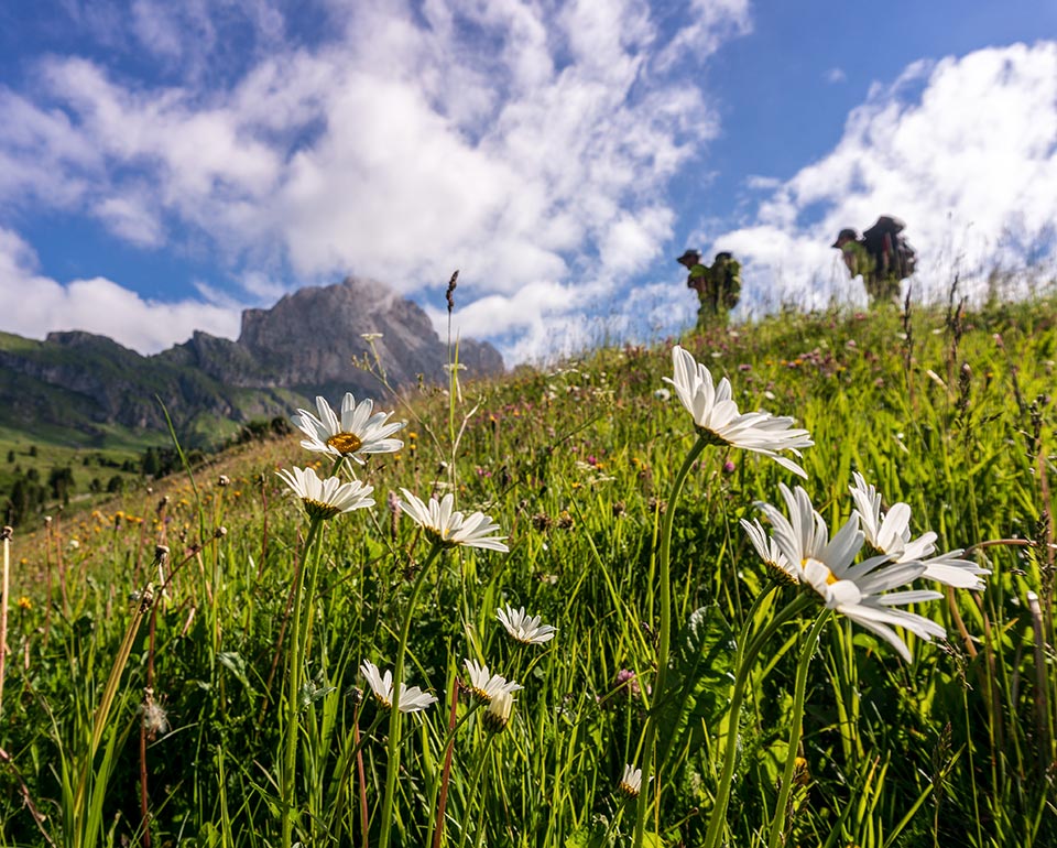 Hiking - Seceda cableways in Ortisei in Val Gardena