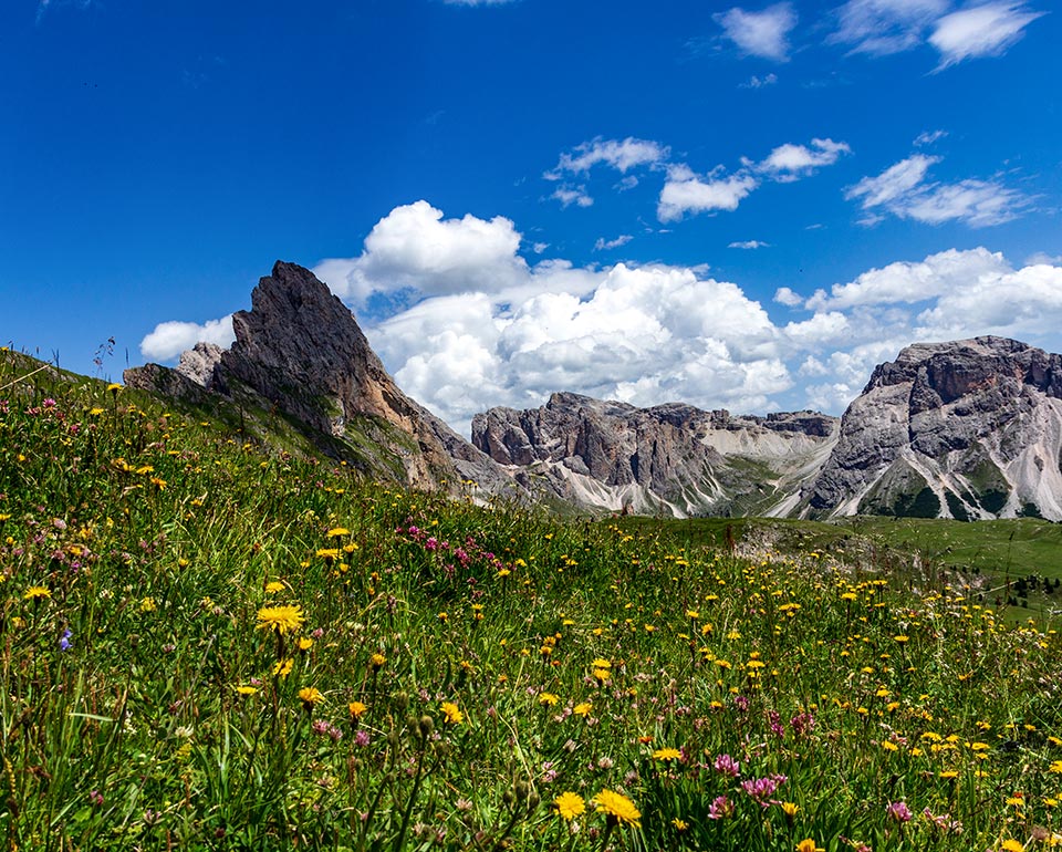 Hiking - Seceda cableways in Ortisei in Val Gardena